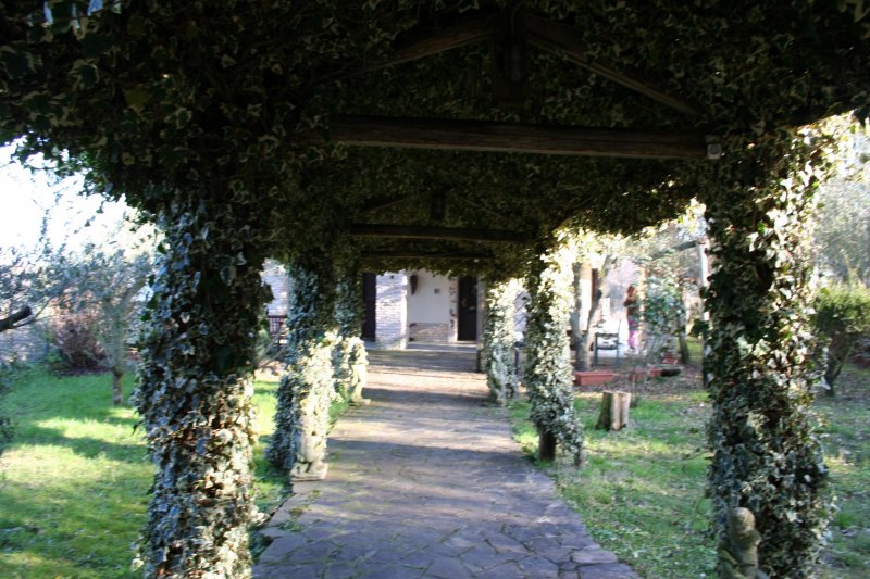 Villa Bassano Romano – Viterbo – Affare - Foto 2